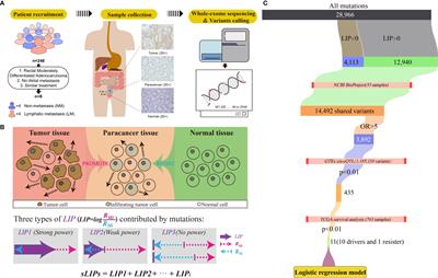 Discovering Innate Driver Variants for Risk Assessment of Early Colorectal Cancer Metastasis